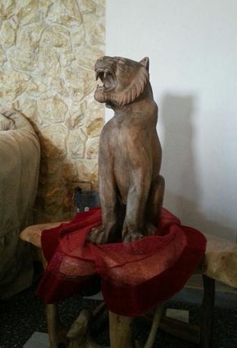 IMG-20171222-WA0033 (1)